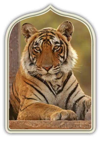 Tour India 7 Giorni: Triangolo d'oro