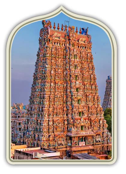 Il meglio del Tamilnadu e del Kerala